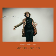 Mockingbird mp3 Album by Saint Chameleon