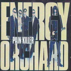 Pain Killer mp3 Album by Energy Orchard