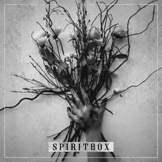 Spiritbox mp3 Album by Spiritbox