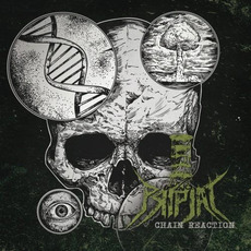 Chain Reaction mp3 Album by Pripjat