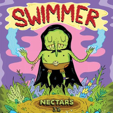 Live At Nectar's 3.16.2018 mp3 Live by Swimmer