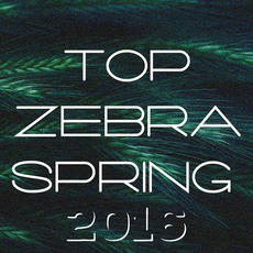 Top Zebra Spring 2016 mp3 Compilation by Various Artists