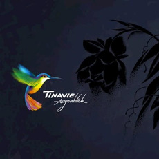 Augenblick mp3 Album by Tinavie