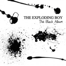 The Black Album (Digipak Edition) mp3 Album by The Exploding Boy