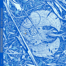 Keepondrifter mp3 Album by Cougar Den