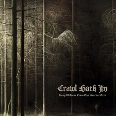 Hang All Hope From the Nearest Tree mp3 Album by Crawl Back In