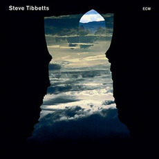 Natural Causes mp3 Album by Steve Tibbetts
