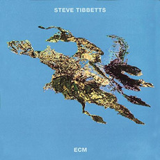 Big Map Idea mp3 Album by Steve Tibbetts