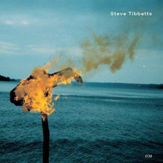 A Man About a Horse mp3 Album by Steve Tibbetts