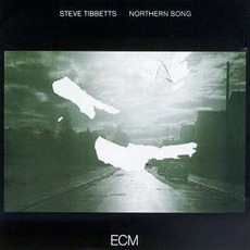 Northern Song mp3 Album by Steve Tibbetts