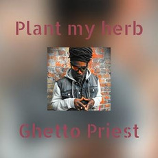 Plant My Herb mp3 Album by Ghetto Priest