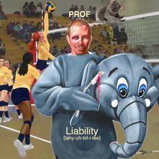 Liability mp3 Album by Prof