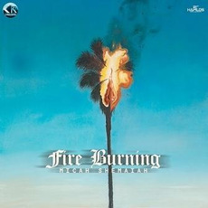Fire Burning mp3 Album by Micah Shemaiah