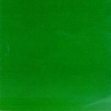 Green Album mp3 Album by Skankin' Pickle