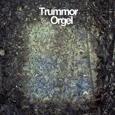 Visions mp3 Album by Trummor & Orgel