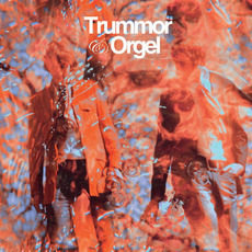 Reflections From a Watery World mp3 Album by Trummor & Orgel
