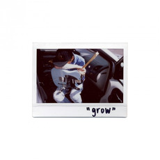 Grow mp3 Album by Thom Fekete
