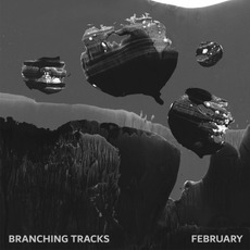 Branching Tracks mp3 Album by February