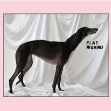 Flat Worms mp3 Album by Flat Worms