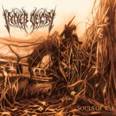 Souls of War mp3 Album by Inner Decay