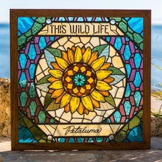 Petaluma mp3 Album by This Wild Life