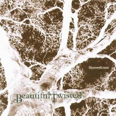 Beautiful Twisted mp3 Album by Sharron Kraus