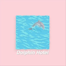 Dolphin Hotel mp3 Album by Dolphin Hotel