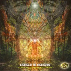 Grounds Of The Undersound mp3 Compilation by Various Artists