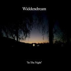 In The Night mp3 Album by Widdendream