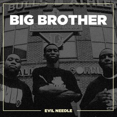 Big Brother mp3 Compilation by Various Artists