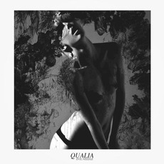 Qualia mp3 Album by Evil Needle