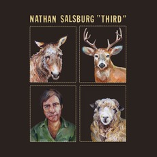 Third mp3 Album by Nathan Salsburg