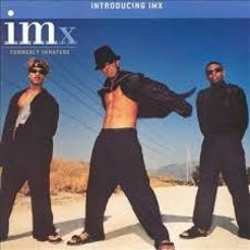 Introducing IMx mp3 Album by iMX
