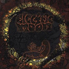 Lunatics mp3 Album by Electric Moon