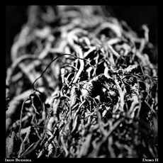 Demo II mp3 Album by Iron Buddha