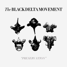 Preservation mp3 Album by The Black Delta Movement