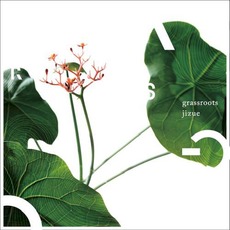Grassroots mp3 Album by Jizue