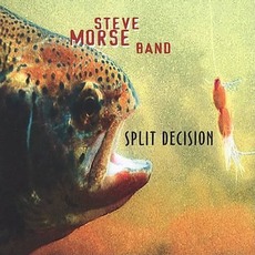 Split Decision mp3 Album by Steve Morse Band