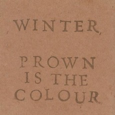 Winter, Brown Is The Colour mp3 Compilation by Various Artists