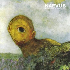Perfection Is A Process mp3 Album by Naevus (2)