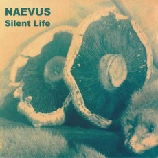 Silent Life mp3 Album by Naevus (2)