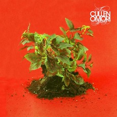 New Misery mp3 Album by Cullen Omori
