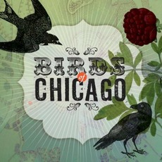 Birds Of Chicago mp3 Album by Birds of Chicago