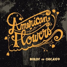American Flowers mp3 Album by Birds of Chicago