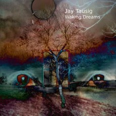 Waking Dreams mp3 Album by Jay Tausig