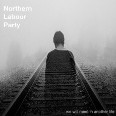 We Will Meet in Another Life mp3 Album by Northern Labour Party