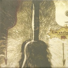 Porcupine mp3 Album by Tim Easton