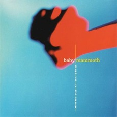 Another Day At The Orifice mp3 Album by Baby Mammoth