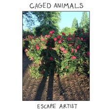 Escape Artist mp3 Album by Caged Animals