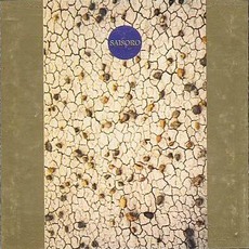 Saisoro mp3 Album by Derek Bailey & Ruins
